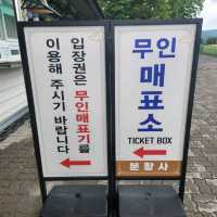 우리나라 가장 오래된 모전석탑이있는 '분황사'