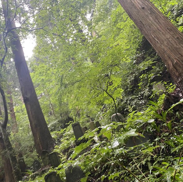 山寺で煩悩を消す旅