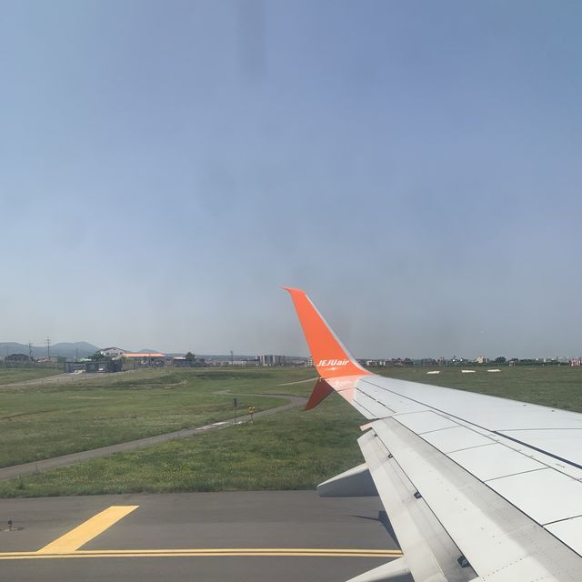 제주도의 낮