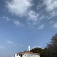🌊🌺 여수 오동도에서 동백꽃+바다 가득가득 감상하기 🌺🌊