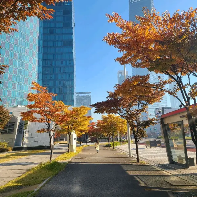 [Voyage51] 가을날씨의 송도 거리🍂🍁