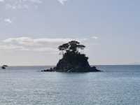 One GREAT National Park in New Zealand! 