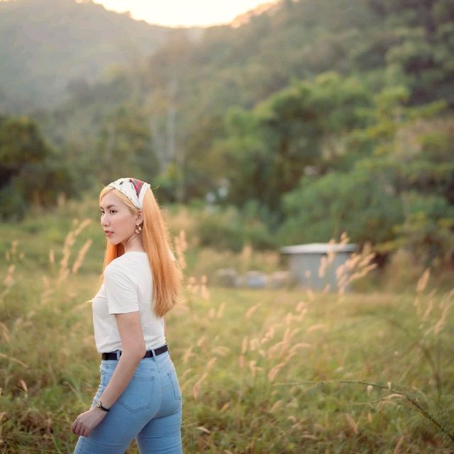 หลงรักเขา ไปกับ อุทยานแห่งชาติเขาใหญ่ 🍃