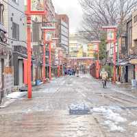 雪の朝の伝法院通り