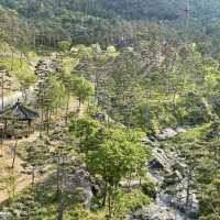 산청한방테마파크 동의보감촌에서 출렁다리 체험하기!