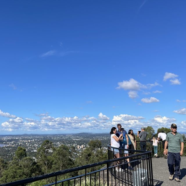 마운틴쿠사전망대 : Mount Coot-Tha Summit Lookout