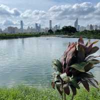 沿梧桐河行走，一路飽覽深圳和香港的城鄉美景