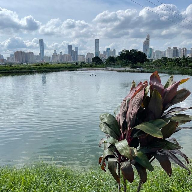沿梧桐河行走，一路飽覽深圳和香港的城鄉美景