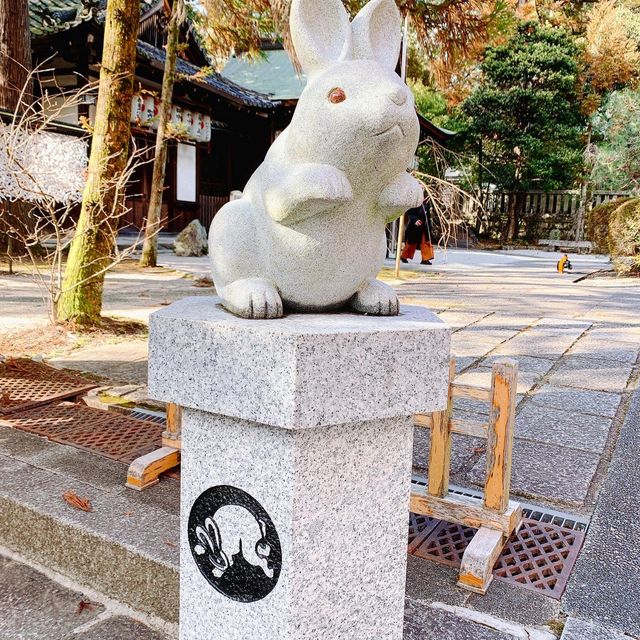 【京都】可愛いうさぎ神社