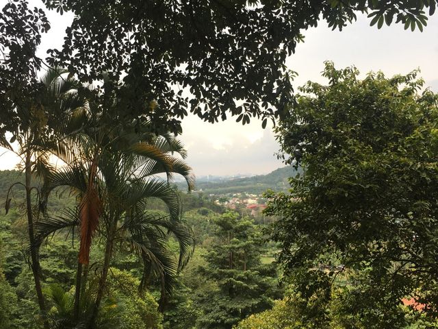 An evening stroll at Broga Hill