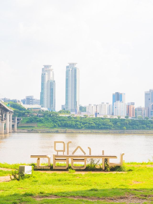 이번 주말은 '뚝섬한강공원'