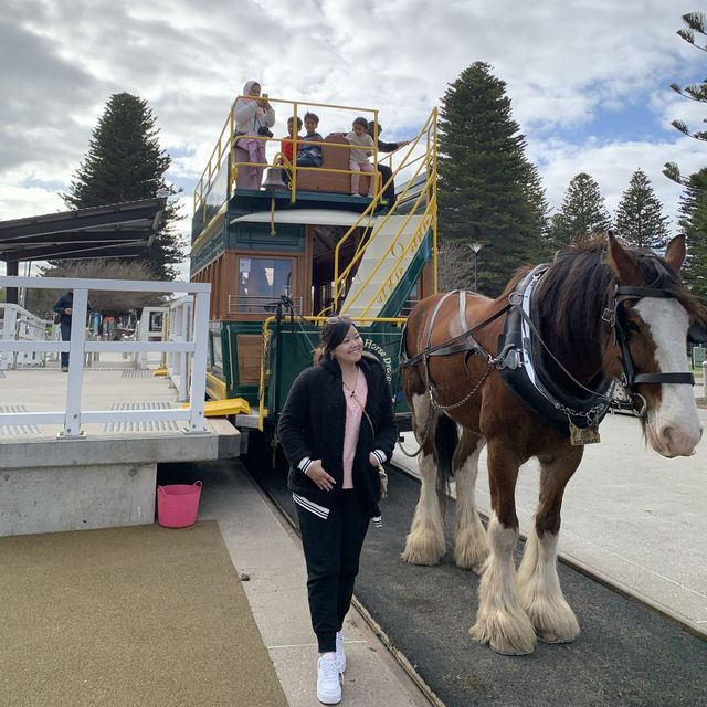 Victor Harbor Horse Drawn Tramway, Esplanade,