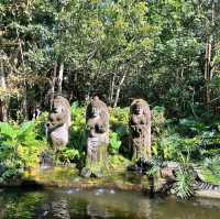 Monkey forest 