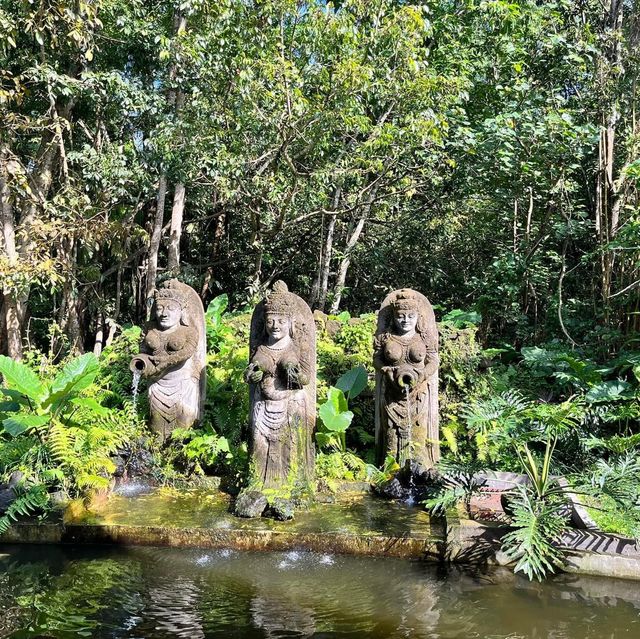 Monkey forest 