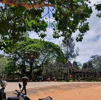 Beautiful Temple  in Siem Reap