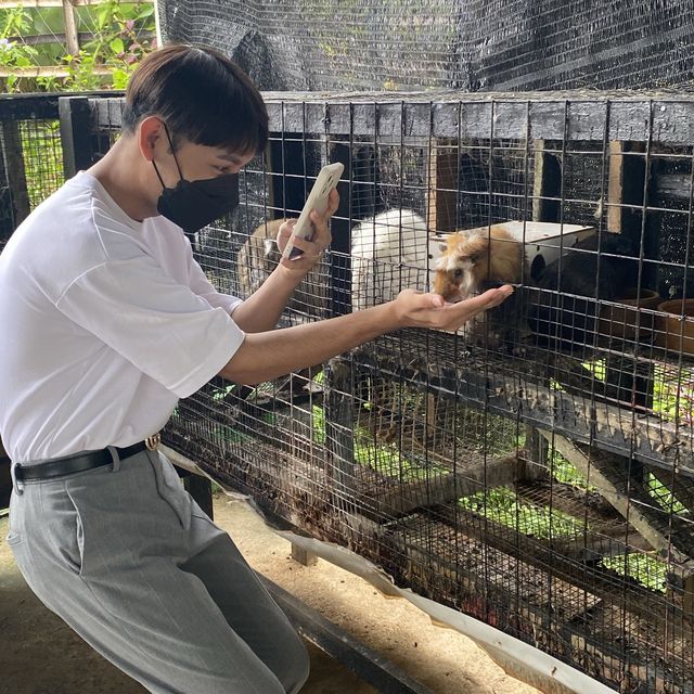 animal lover ! 
