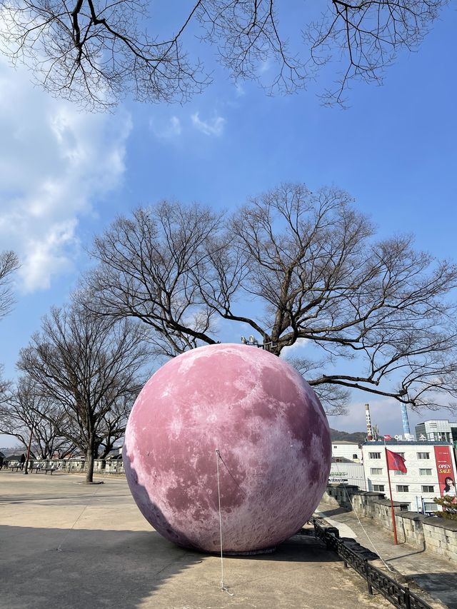 진주성으로 피크닉 다녀오기 🧺