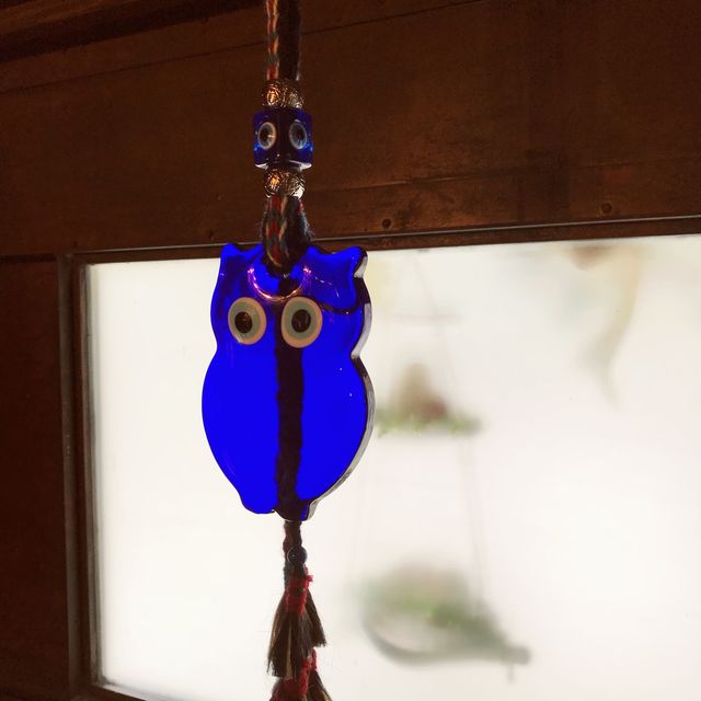 【静岡県・浜松市】ぬむもりの森　フクロウcafe🦉