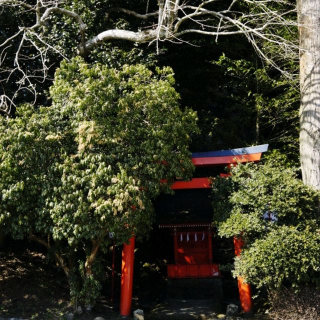 일본여행 모토하코네의 물에 빠진 신사