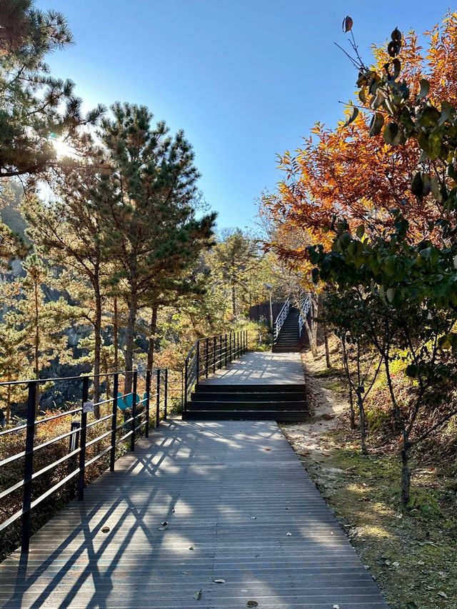 서울 근교 드라이브 ‘포천아트밸리’