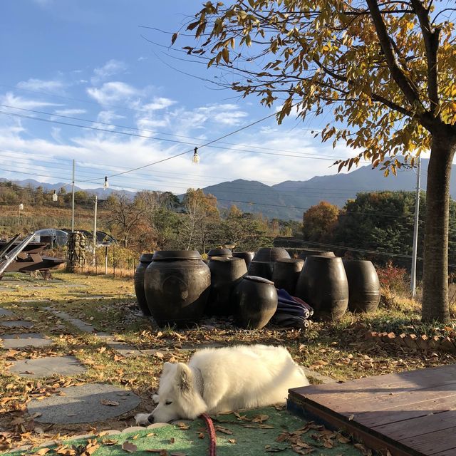 1박 2일 여자혼자여행 지리산 둘레길 3코스
