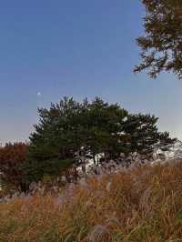 모든 계절이 예쁜 선유도공원🏞️