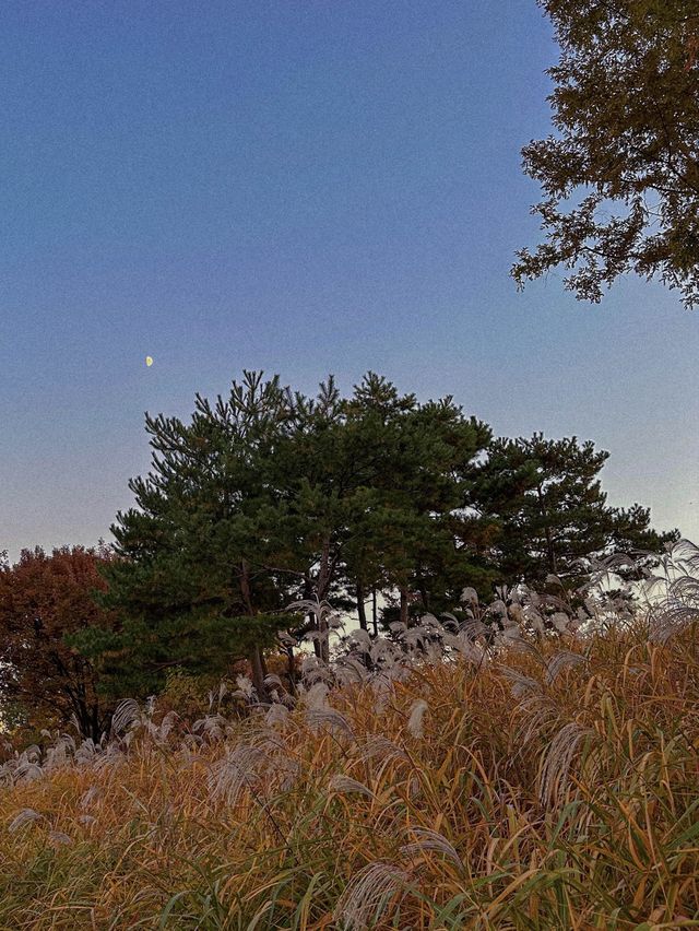 모든 계절이 예쁜 선유도공원🏞️