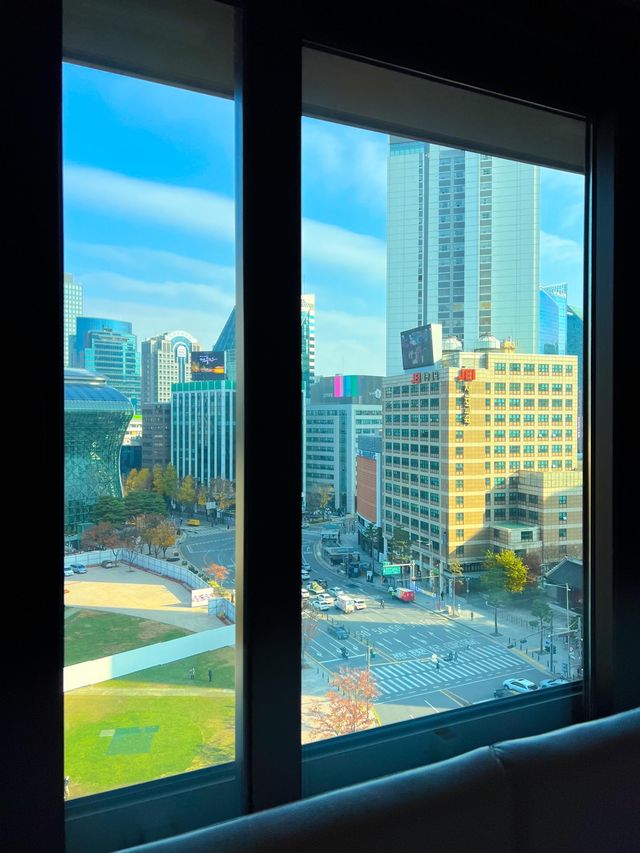 시청뷰를 한눈에 볼 수 있는 더플라자호텔🏨