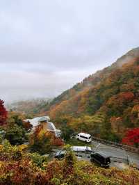 養老の滝