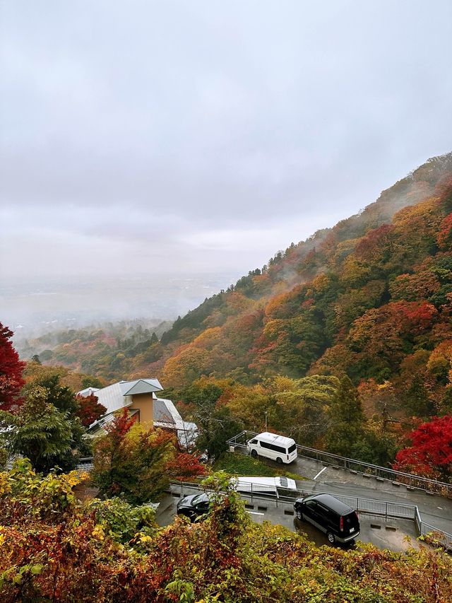 養老の滝