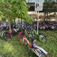 East Coast Park