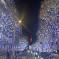 東京聖誕必去打卡位 六本木櫸木坂通