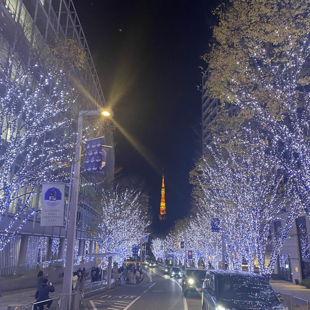 東京聖誕必去打卡位 六本木櫸木坂通
