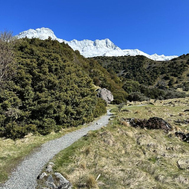 NZ Mt. Cook Hooker Valley Track