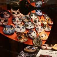 Cat Museum - Kuching, Malaysia 