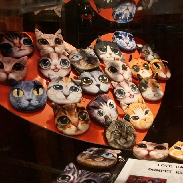 Cat Museum - Kuching, Malaysia 