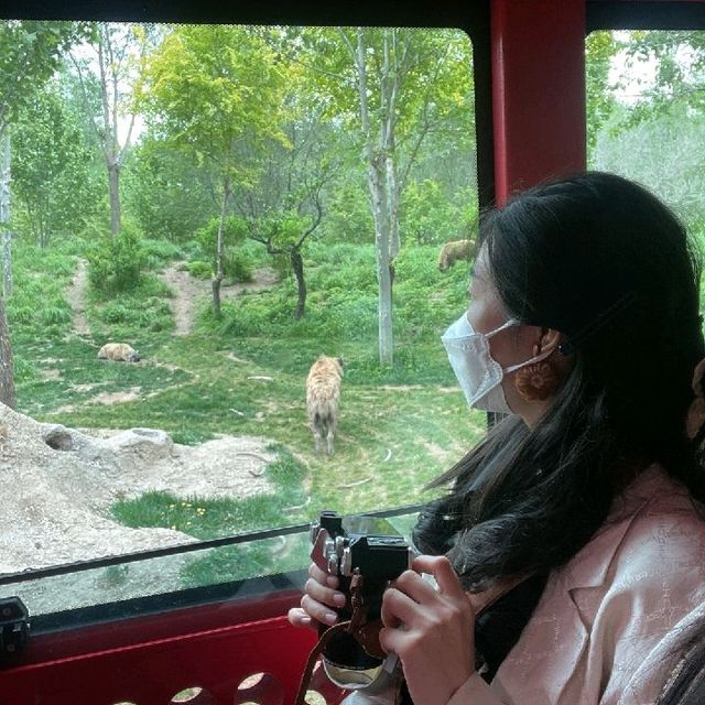 亚洲最大野生动物园-北京野生动物园