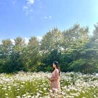 데이지 만발, 하남 소진담