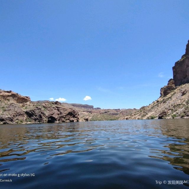 Canyon Lake unreal wild Rams say hello!!!!!