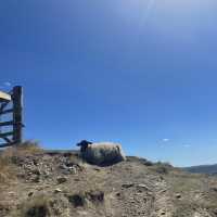 曼徹斯特出發peak district Mam Tor行山 簡易路線小朋友都行到
