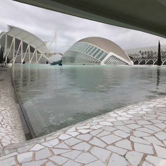 experience in Valencia