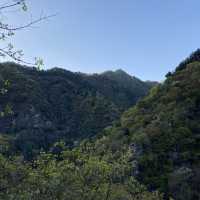 Cuihua mountain (part 2) - Nature