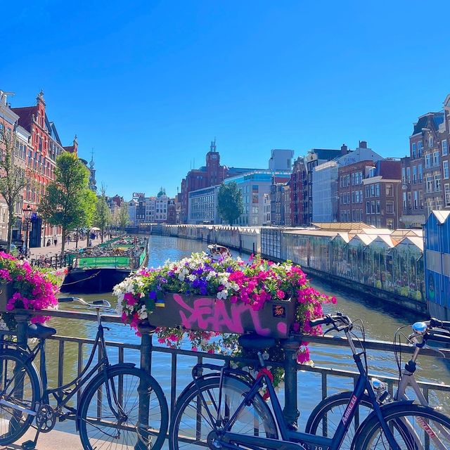 CITY OF BIKES 🚲🇳🇱