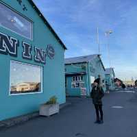 🇮🇸冰島遊記 Harbor in Reykjavik 超美的夢幻小屋