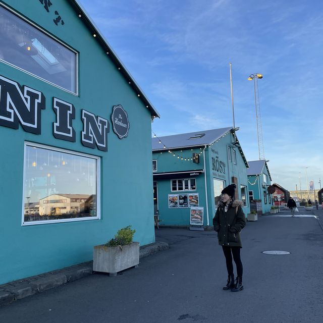 🇮🇸冰島遊記 Harbor in Reykjavik 超美的夢幻小屋