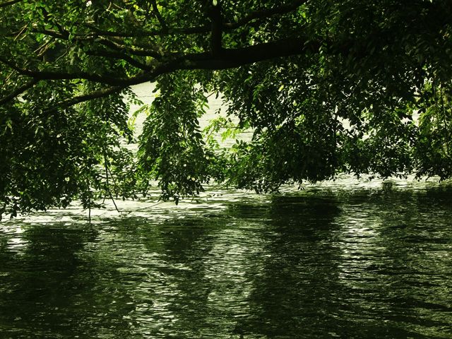 A Gem in Sri Lanka - Lake Kandyan 