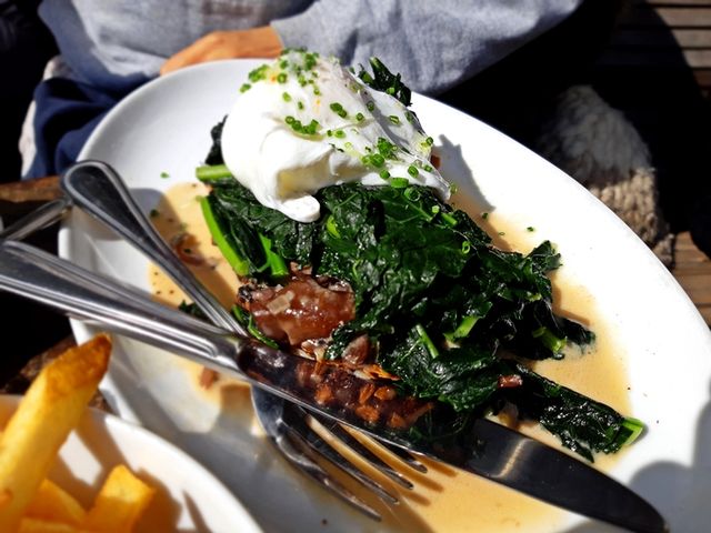 Brooklyn의 대표적인 브런치 맛집, Five leaves