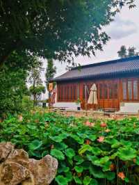 ShiHu - Tranquility in Suzhou 🌱🛶🍃