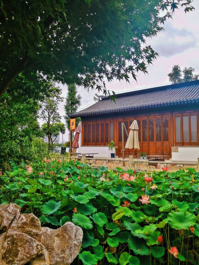 ShiHu - Tranquility in Suzhou 🌱🛶🍃