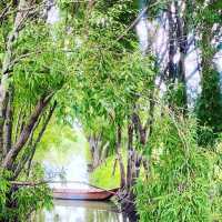Horse Riding, Tea experience and Wetlands 